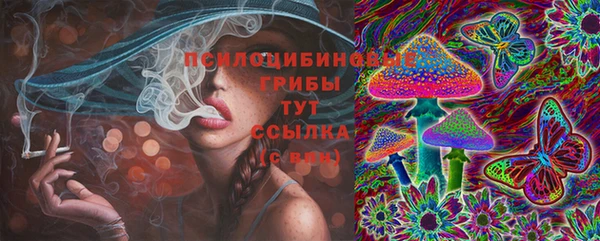 ALPHA-PVP Бугульма