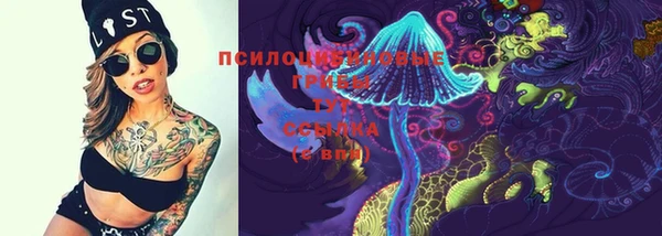 соль курить ск Бородино
